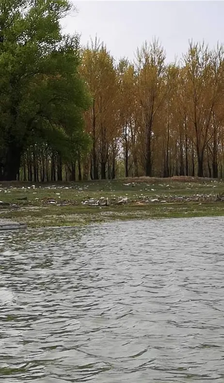 Mâine, o nouă ecologizare a malului tulcean al Dunării