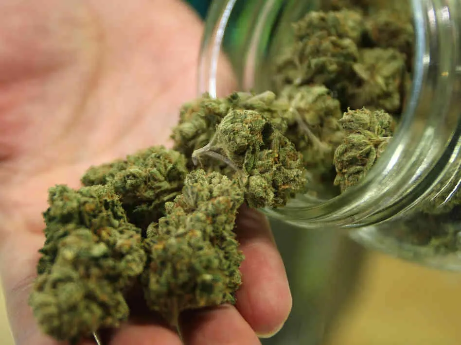 Prins de polițiști drogat la volan și cu marijuana lângă el