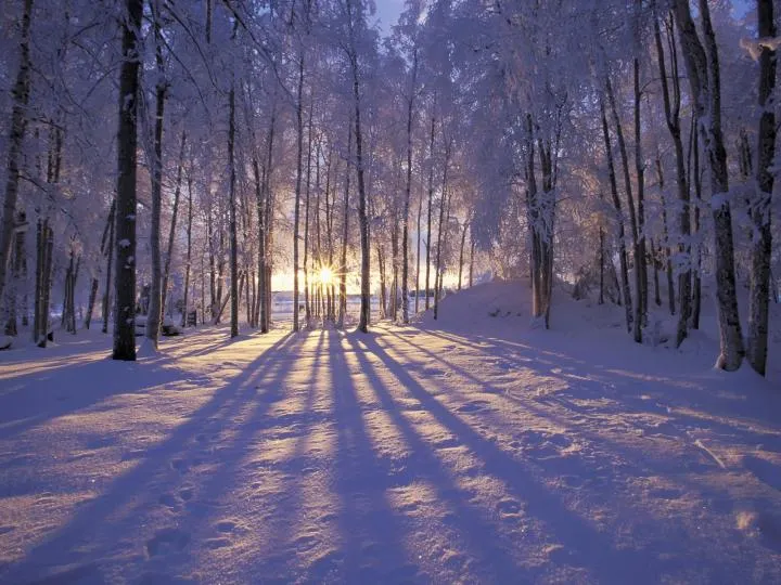 Prognoza meteo pentru această iarnă - ce spun meteorologii