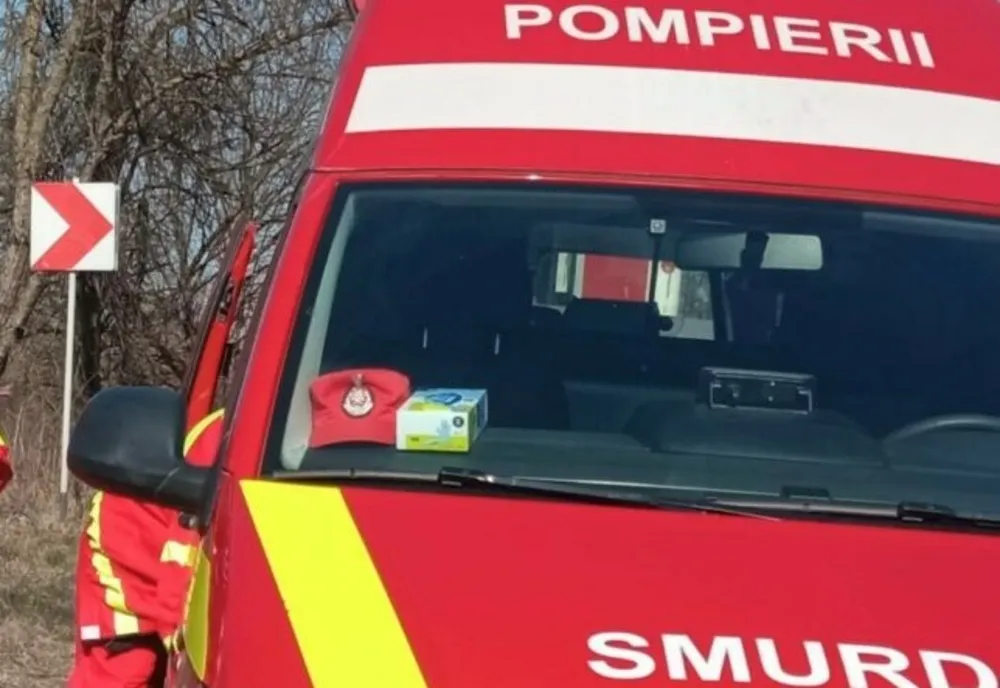 O fetiță de 10 ani a murit după ce a căzut dintr-o căruță