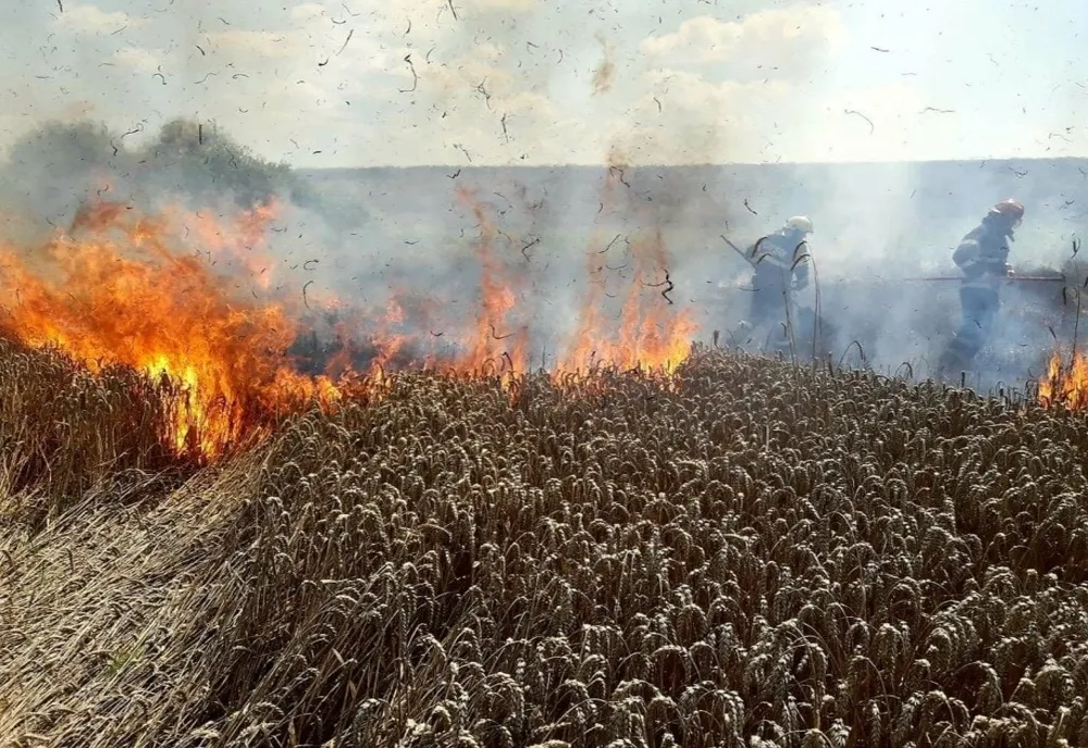 600 de hectare de vegetație, mistuite de flăcări 