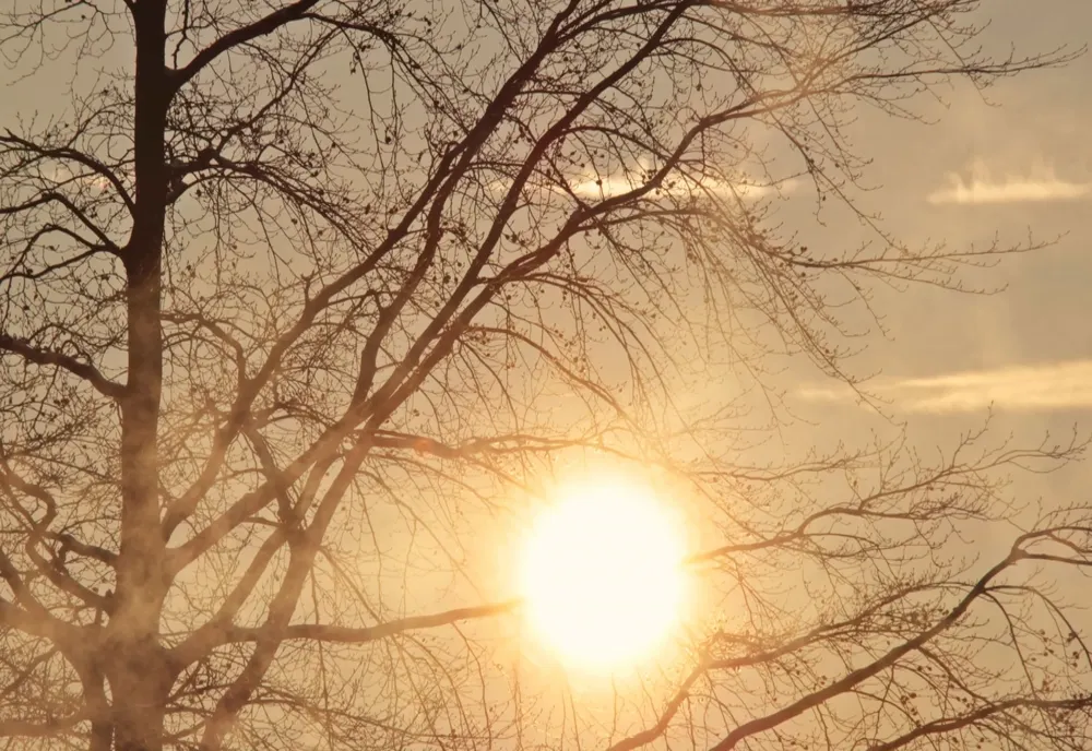 Prognoza meteo 20 martie. Ușoară creștere a temperaturilor în majoritatea zonelor