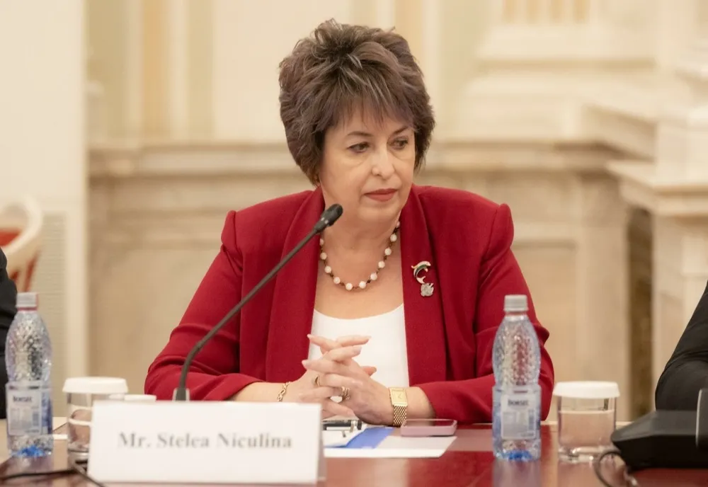NICULINA STELEA(AUR): ”ROMÂNIA A ABSORBIT EFECTIV DOAR 11% DIN FONDURILE EUROPENE AFERENTE ACTUALULUI EXERCIȚIU BUGETAR AL UE” 