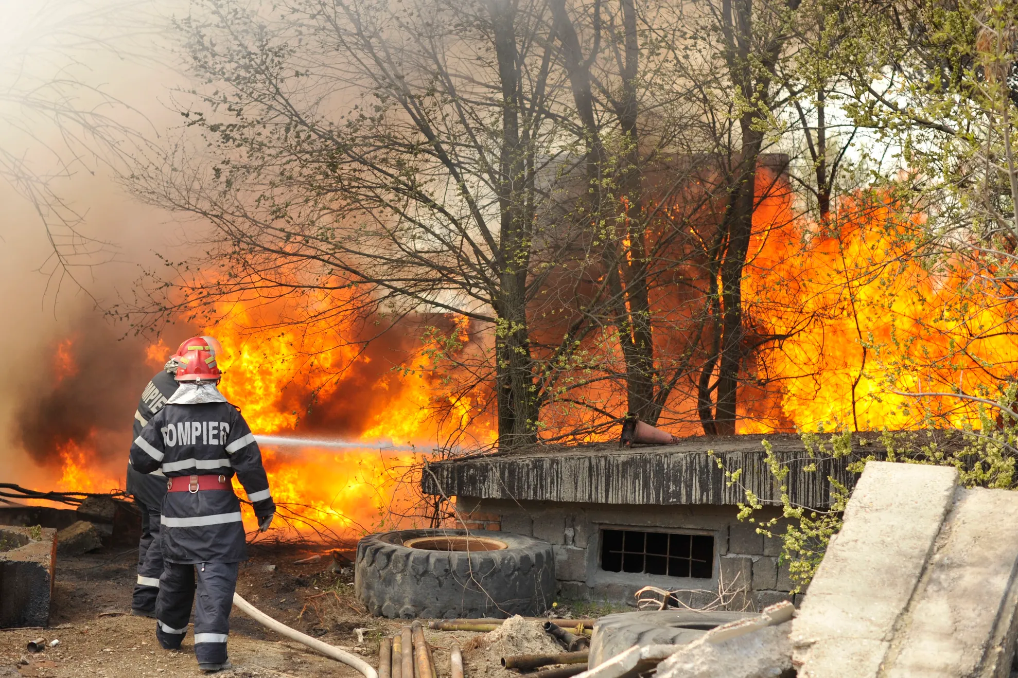 foc