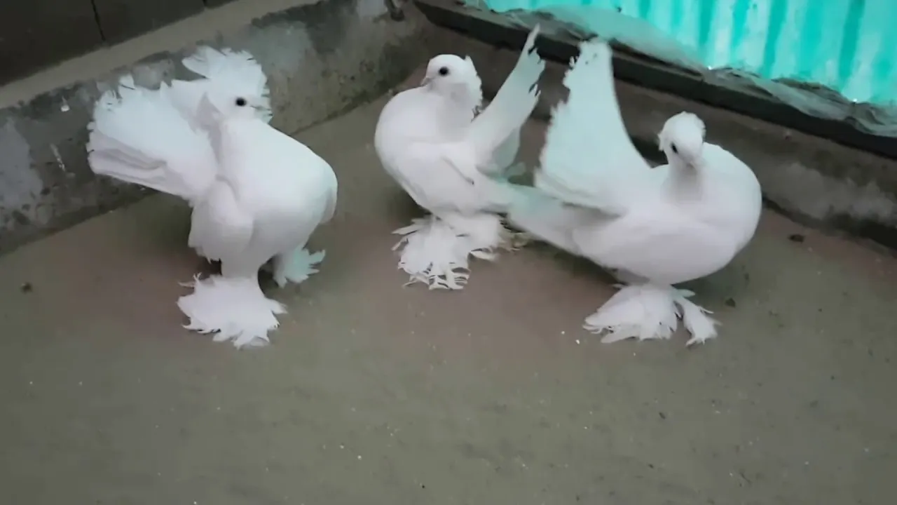 78328