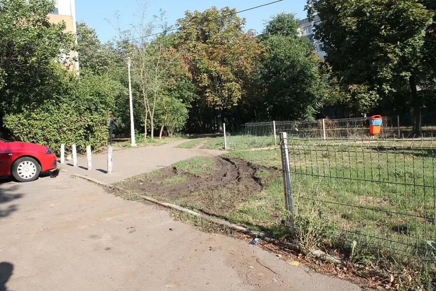 spatii verzi