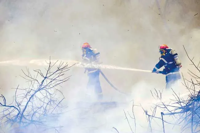 Incendiu-vegetatie-uscata