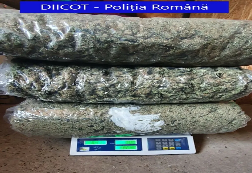 Percheziții la Galați într-un dosar de trafic de droguri