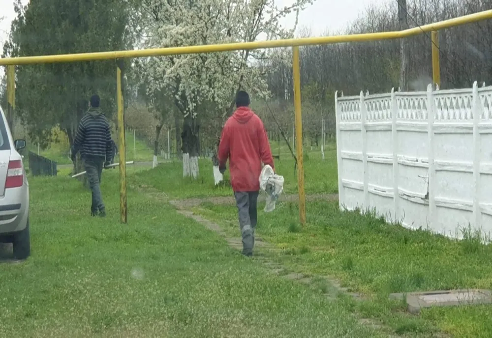 Câini aruncați într-o groapă de gunoi