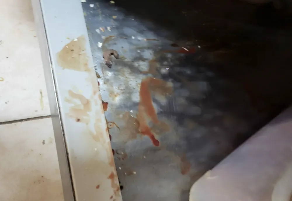 Foto+video: Un restaurant cu specific chinezesc din #Galați a fost amendat de comisarii de la Protecția Consumatorilor