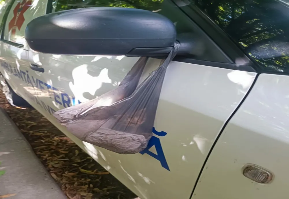 Un gălățean de 74 de ani a lăsat un pisic într-o pungă de plastic atârnată de oglinda unei ambulanțe veterinare
