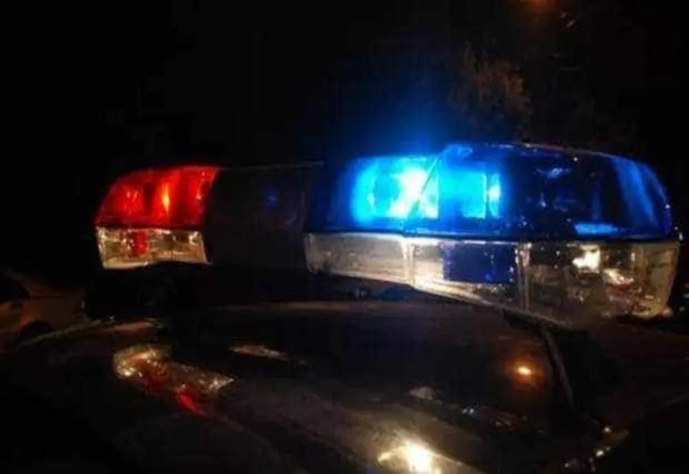 Doi români, pe lista celor mai căutați infractori din Europa. Cine sunt criminalii care au îngrozit România