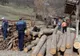 IGPR: Peste 5.300 de dosare penale și 1.200 de persoane cercetate pentru nereguli la domeniul silvic, în 6 luni