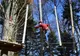 S-a relansat proiectul zonei de agrement "Parc Aventura"