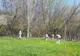 Dezinsecție organizată la Balta Zătun și în Pădurea Gârboavele