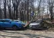 În judeţul Galaţi au fost tăiaţi ilegal arbori în valoare de 9 milioane de lei