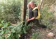 O gospodărie din comuna Umbrăreşti, mistuită de flăcări