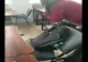 Şobolan filmat într-un liceu de elită din Galaţi. Imagini incredibile