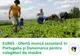 EURES - Ofertă muncă sezonieră în Portugalia şi Danemarca pentru culegători de mazăre