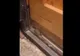 Amendă de 10.000 de lei și suspendarea temporară a activității la o patiserie în care un șoricel se plimba prin vitrină