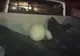 Video: Prins de Poliția Locală Galați cu materiale furate de pe șantierele din municipiu