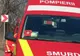 O fetiță de 10 ani a murit după ce a căzut dintr-o căruță