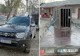 Infracțiuni la regimul juridic al circulației rutiere, descoperite de polițiștii de frontieră gălățeni
