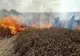 600 de hectare de vegetație, mistuite de flăcări 