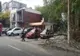 Video: Copac cazut peste 3 autoturisme în municipiul Galați