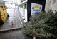 Gălățenii sunt rugați să lase brazii naturali de Crăciun lângă containere