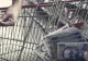 Românii au cumpărat produse de 68 de miliarde de lei, în primele șase luni, în creștere cu 3,2% (barometru)